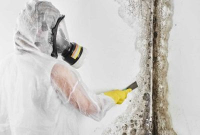 mold-remediation-services-1-700x350